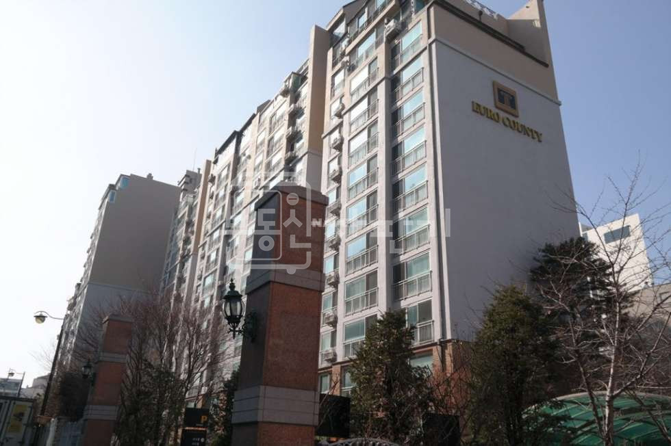 서울 강남구 청담동 청담대우유로카운티56평 복층세대 매매 매물번호 10233 사진 1
